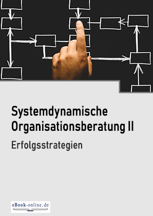 Systemdynamische Organisationsberatung 2